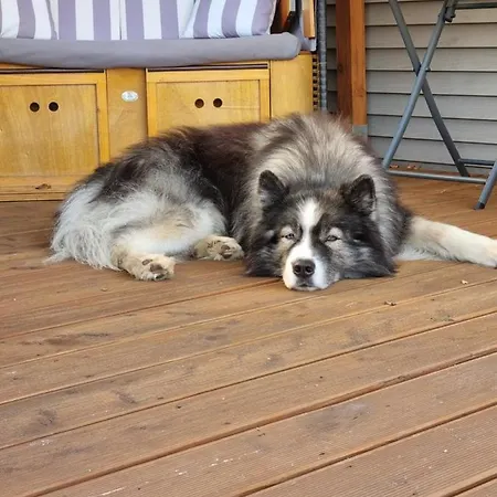 度假居 Storchenhof Mobilheim 1 Katzow